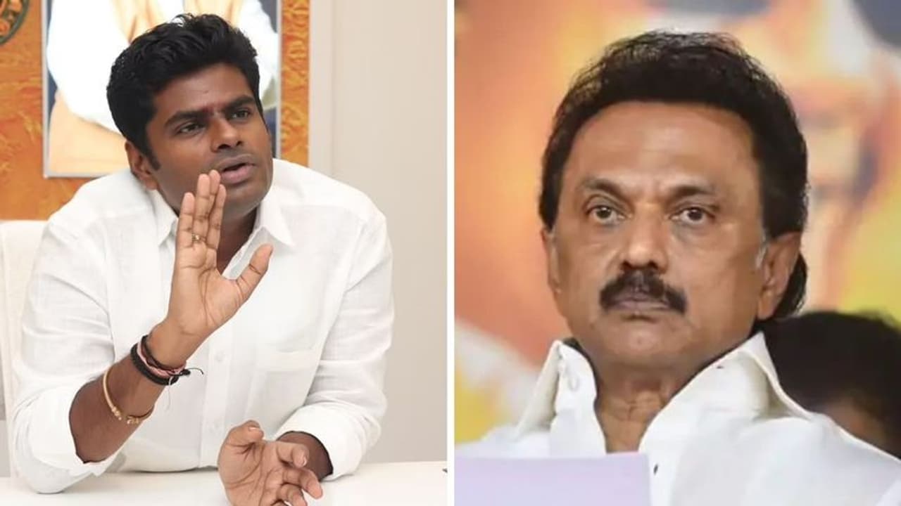 TN Local Body Election Results 2022 : நகராட்சியை கைப்பற்றும் பாஜக !! நம்ம லிஸ்ட்லயே இல்லையே.. அப்போ திமுக.? TN Local Body Election Results 2022 : நகராட்சியை கைப்பற்றும் பாஜக !! நம்ம லிஸ்ட்லயே இல்லையே.. அப்போ திமுக.?