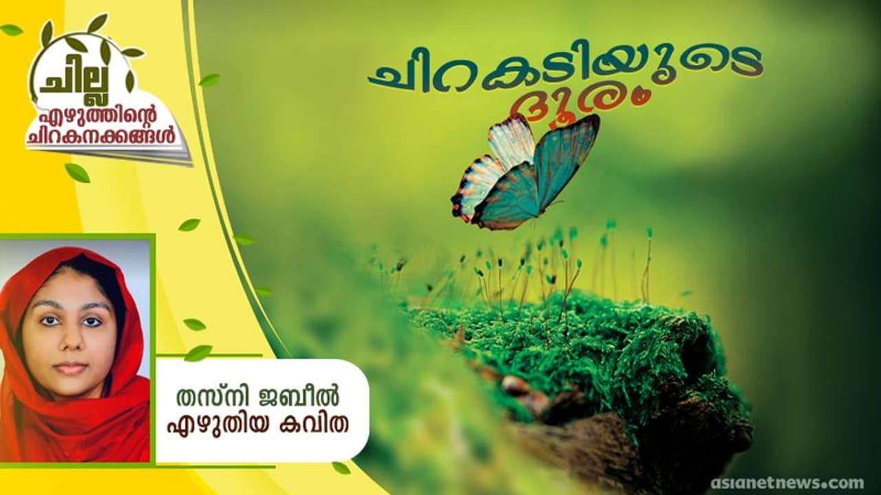 Malayalam Poem : ചിറകടിയുടെ ദൂരം, തസ്നി ജബീല് എഴുതിയ കവിതകള് Malayalam Poem : ചിറകടിയുടെ ദൂരം, തസ്നി ജബീല് എഴുതിയ കവിതകള്