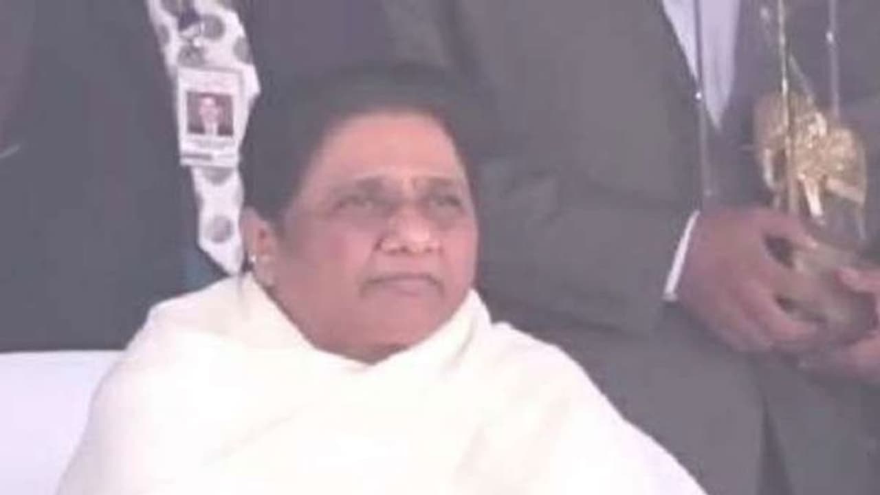 UP Chunav 2022: मायावती बोलीं बीजेपी सरकार में ब्राह्मणों का नुकसान, सपा में दंगाइयों और गुंडो का बोलबाला UP Chunav 2022: मायावती बोलीं बीजेपी सरकार में ब्राह्मणों का नुकसान, सपा में दंगाइयों और गुंडो का बोलबाला