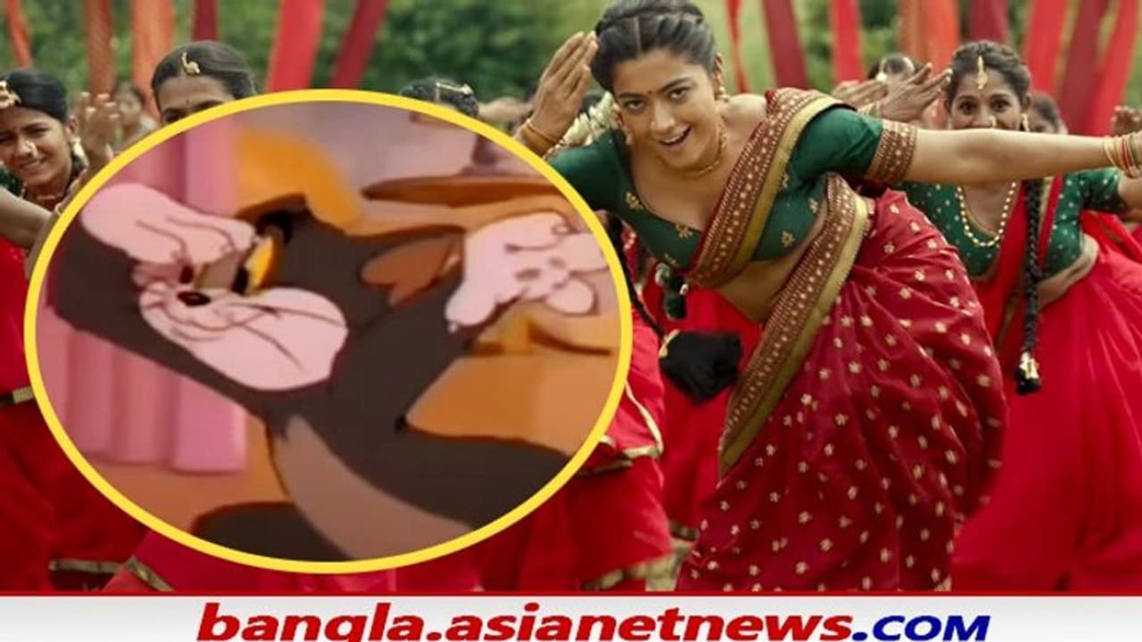 পুষ্পার স্টাইলে টম আর জেরির নাচে মাতোয়ারা নেট দুনিয়া, ভাইরাল হল ভিডিও পুষ্পার স্টাইলে টম আর জেরির নাচে মাতোয়ারা নেট দুনিয়া, ভাইরাল হল ভিডিও