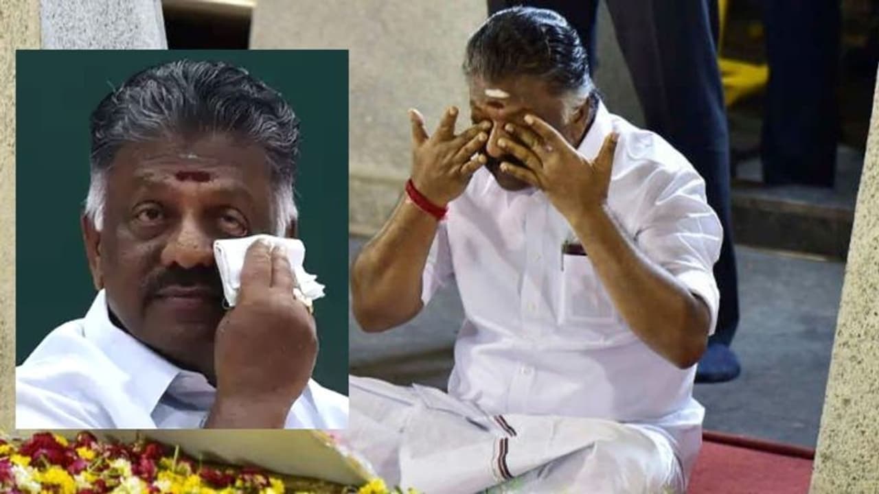 நாடாளுமன்ற தேர்தலில் போட்டி இல்லையா.? அலறி அடித்து விளக்கம் கொடுத்த ஓ.பன்னீர் செல்வம் நாடாளுமன்ற தேர்தலில் போட்டி இல்லையா.? அலறி அடித்து விளக்கம் கொடுத்த ஓ.பன்னீர் செல்வம்