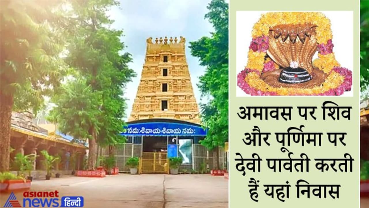 आंध्र प्रदेश के इस ज्योतिर्लिंग को कहते हैं दक्षिण का कैलाश, पुत्र प्रेम में यहां स्थापित हुए थे शिव पार्वती