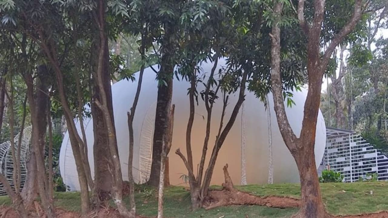 മരങ്ങൾക്കിടയിലെ മുട്ട കെട്ടിടം, അത്ഭുതമായി ഇടുക്കിയലെ ഈ നിർമ്മിതി മരങ്ങൾക്കിടയിലെ മുട്ട കെട്ടിടം, അത്ഭുതമായി ഇടുക്കിയലെ ഈ നിർമ്മിതി