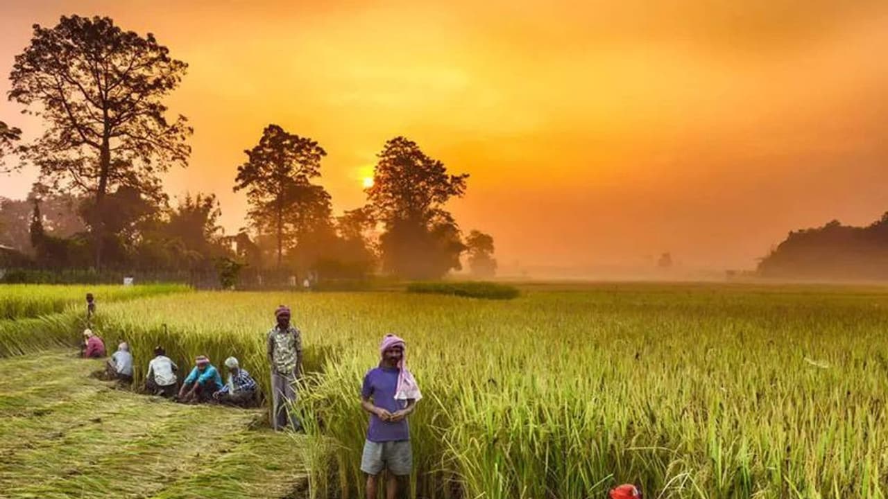 100 நாள் வேலைத்திட்டம்: இறுக்கும் மத்தியஅரசு; மாநில அரசுகள் நிதிபெற புதிய நிபந்தனை 100 நாள் வேலைத்திட்டம்: இறுக்கும் மத்தியஅரசு; மாநில அரசுகள் நிதிபெற புதிய நிபந்தனை