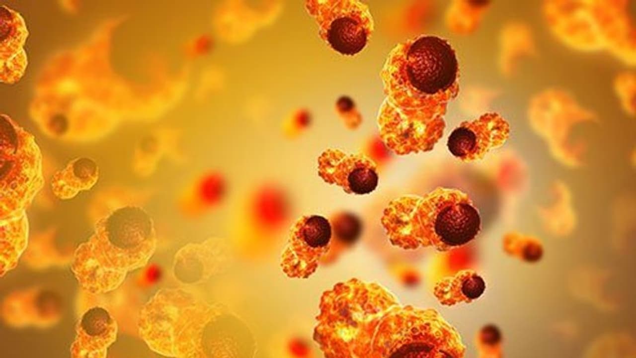 Cancer : സന്തോഷവാർത്ത : എല്ലാ രോഗികളിലും ക്യാൻസർ ഭേദമായി; പരീക്ഷണ മരുന്ന് ഫലപ്രദം