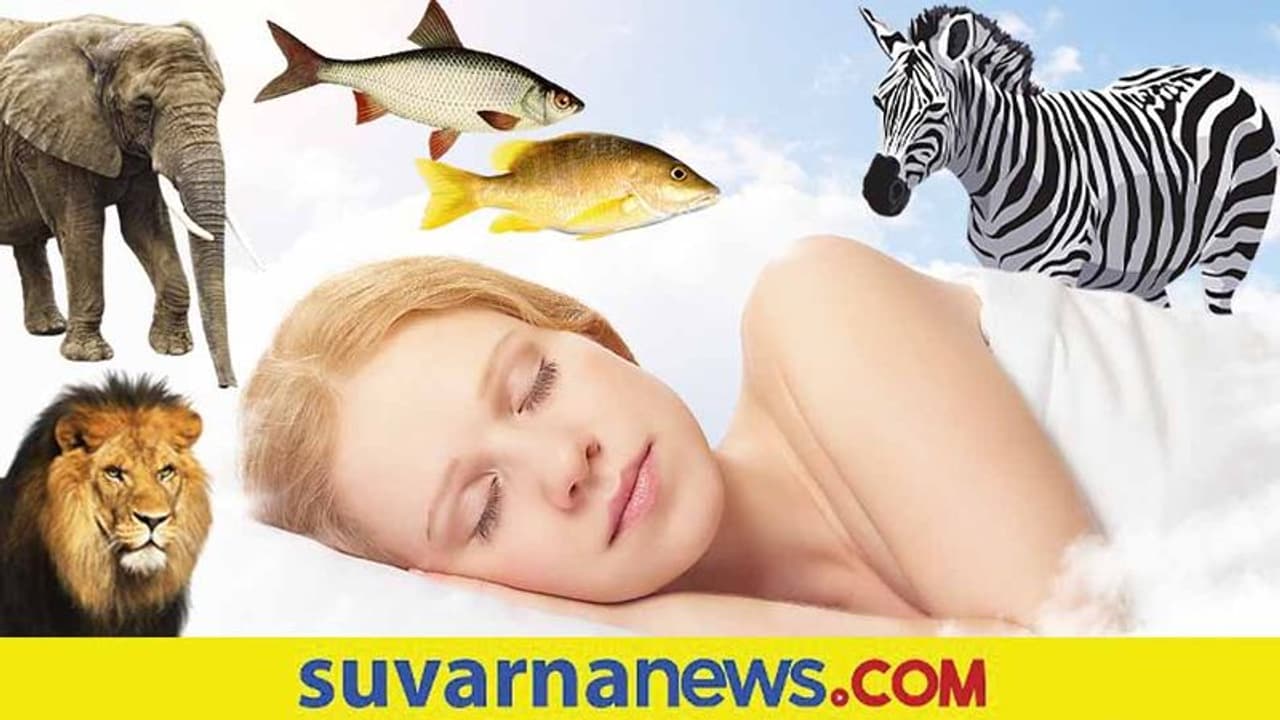 Swapna Shastra : ಕನಸಿನಲ್ಲಿ ಈ ಪ್ರಾಣಿಗಳು ಕಂಡ್ರೆ ಜೀವನದಲ್ಲಾಗಲಿದೆ ಹಣದ ಹೊಳೆ Swapna Shastra : ಕನಸಿನಲ್ಲಿ ಈ ಪ್ರಾಣಿಗಳು ಕಂಡ್ರೆ ಜೀವನದಲ್ಲಾಗಲಿದೆ ಹಣದ ಹೊಳೆ