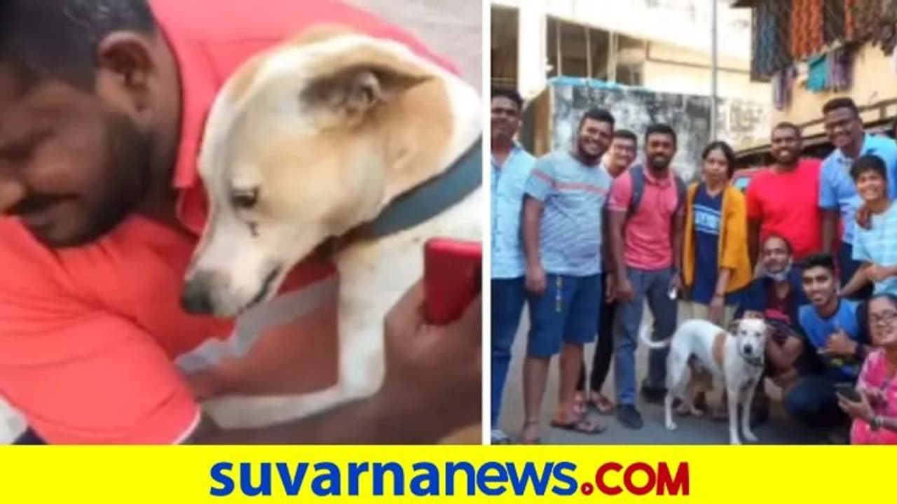ಮರಳಿ ಸಿಕ್ಕ ಬೀದಿ ನಾಯಿಗೆ ರಾಜಮರ್ಯಾದೆ... ಆರತಿ ಎತ್ತಿ ಸ್ವಾಗತಿಸಿದ ಜನ