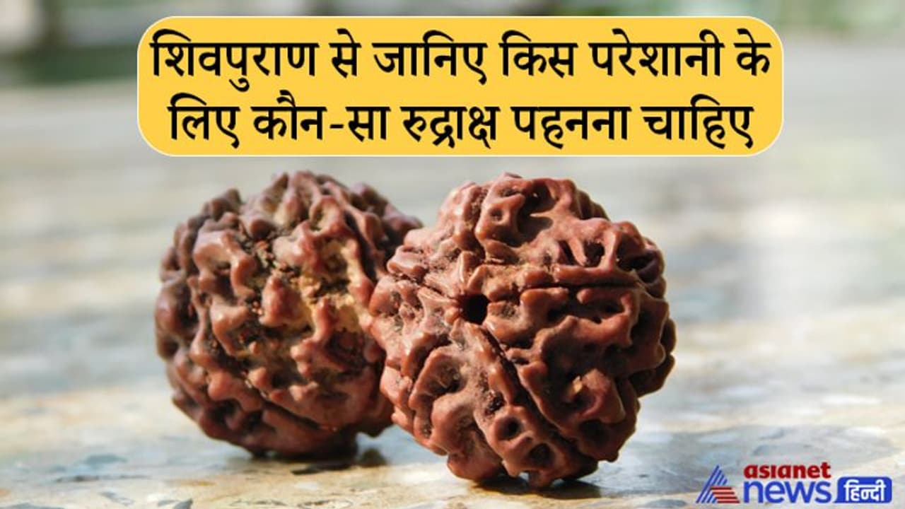 Mahashivratri 2022: रुद्राक्ष पहनने से दूर हो सकती है पैसों की तंगी, इसके और भी हैं फायदे Mahashivratri 2022: रुद्राक्ष पहनने से दूर हो सकती है पैसों की तंगी, इसके और भी हैं फायदे