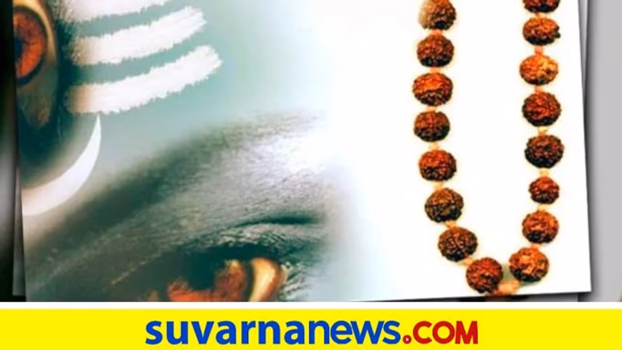 Maha Shivratri 2022: ಶಿವರಾತ್ರಿಯಂದು ಈ ರುದ್ರಾಕ್ಷಿ ಧರಿಸಿ, ವೃತ್ತಿ ಕ್ಷೇತ್ರದಲ್ಲಿ ಯಶಸ್ಸು ನಿಮ್ಮದೇ!