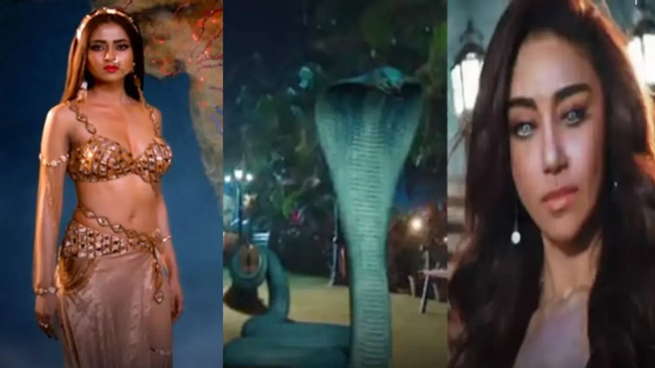 Naagin 6 Spoiler Alert: नागिन अपने पहले असुर को करेगी खत्म, ऋषभ करेगा शादी से इंकार