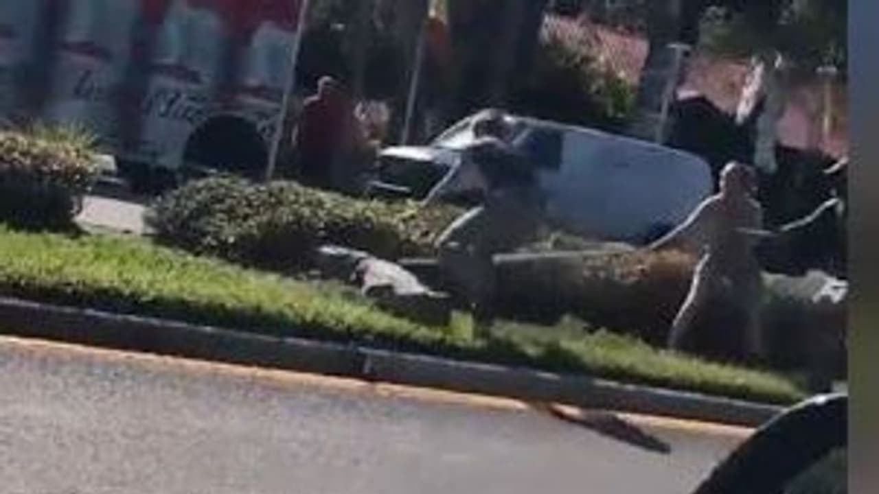 Viral video : बेकाबू हुआ मगरमच्छ तो हलक में अटकी जान, ऐसे कंट्रोल में आया यह खूंखार जलचर