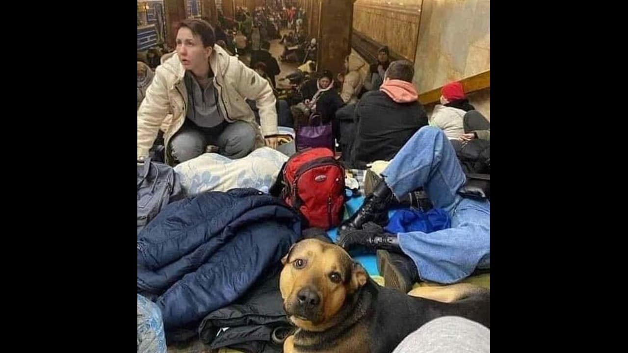 Launching ‘high precision strikes’: Russia warns Ukraine residents in Kyiv to flee