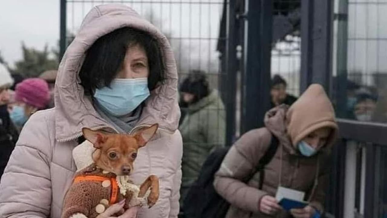 Ukraine Under Attack ರಷ್ಯಾ ದಾಳಿಗೆ ತತ್ತರಿಸಿದ ಉಕ್ರೇನ್, ಮುದ್ದಿನ ಸಾಕು ಪ್ರಾಣಿಗಳ ಜೊತೆ ದೇಶ ತೊರೆಯುತ್ತಿದ್ದಾರೆ ಜನ! Ukraine Under Attack ರಷ್ಯಾ ದಾಳಿಗೆ ತತ್ತರಿಸಿದ ಉಕ್ರೇನ್, ಮುದ್ದಿನ ಸಾಕು ಪ್ರಾಣಿಗಳ ಜೊತೆ ದೇಶ ತೊರೆಯುತ್ತಿದ್ದಾರೆ ಜನ!