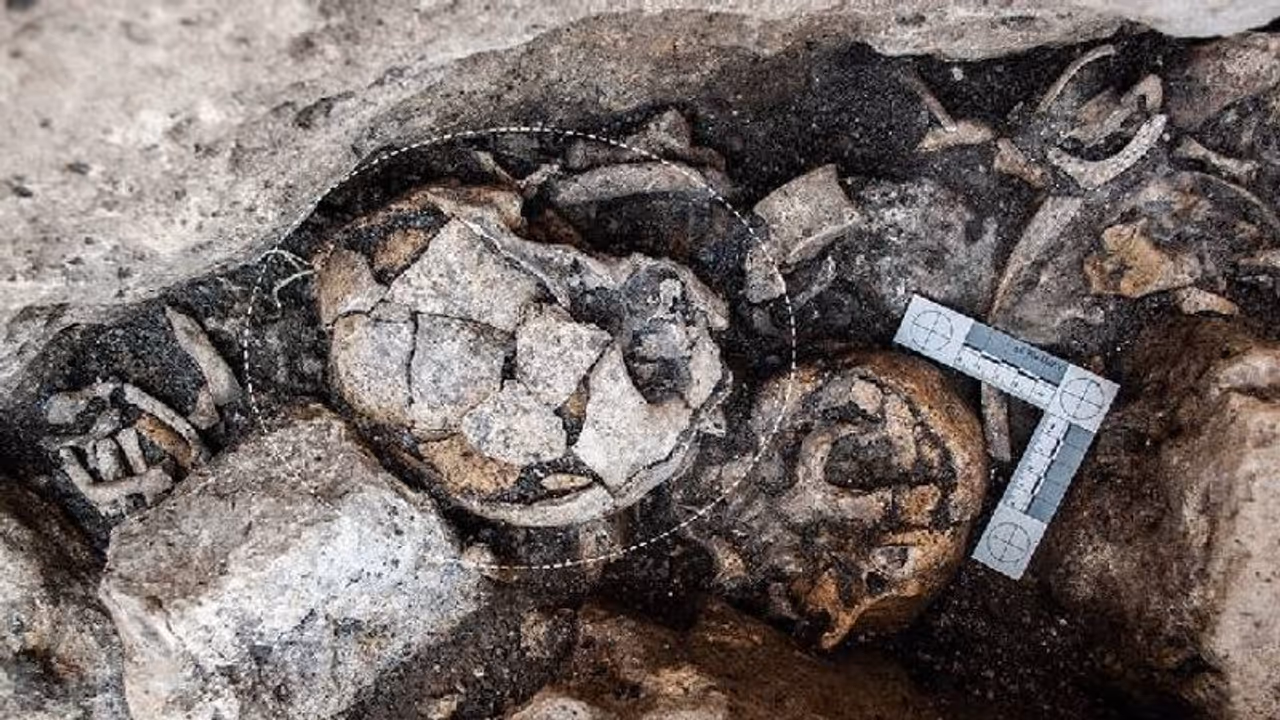 Ear surgery : 5300 വർഷങ്ങൾക്ക് മുമ്പ് തന്നെ ഇവിടെ ചെവിക്ക് ശസ്ത്രക്രിയ നടത്തി, തെളിവുകളുമായി ​ഗവേഷകർ