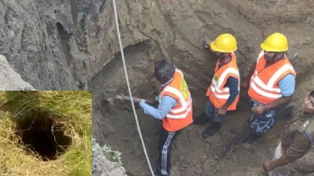 दमोह में 7 साल का बच्चा खेलते वक्त बोरवेल में गिरा, 20 फीट पर फंसा, 15 दिन बाद जन्मदिन दमोह में 7 साल का बच्चा खेलते वक्त बोरवेल में गिरा, 20 फीट पर फंसा, 15 दिन बाद जन्मदिन