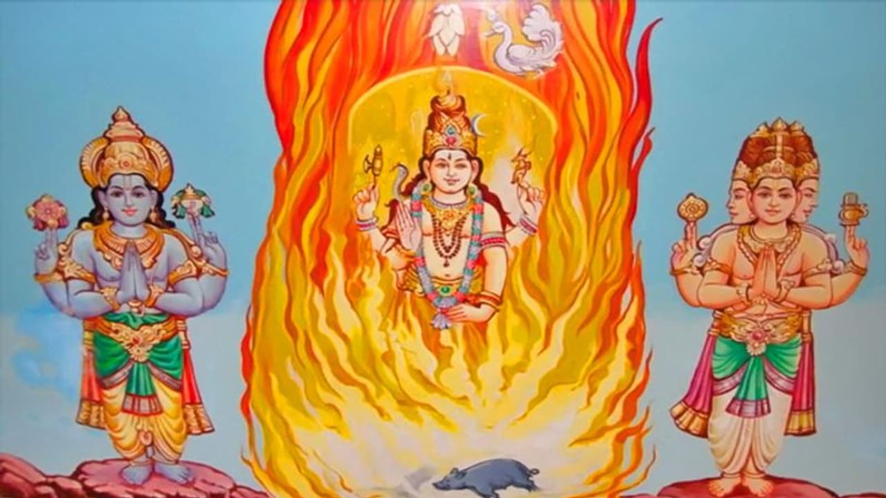 Mahashivratri 2022: क्यों मनाते हैं महाशिवरात्रि, रात में क्यों करते हैं पूजा? शिवपुराण में लिखी है ये कथा Mahashivratri 2022: क्यों मनाते हैं महाशिवरात्रि, रात में क्यों करते हैं पूजा? शिवपुराण में लिखी है ये कथा