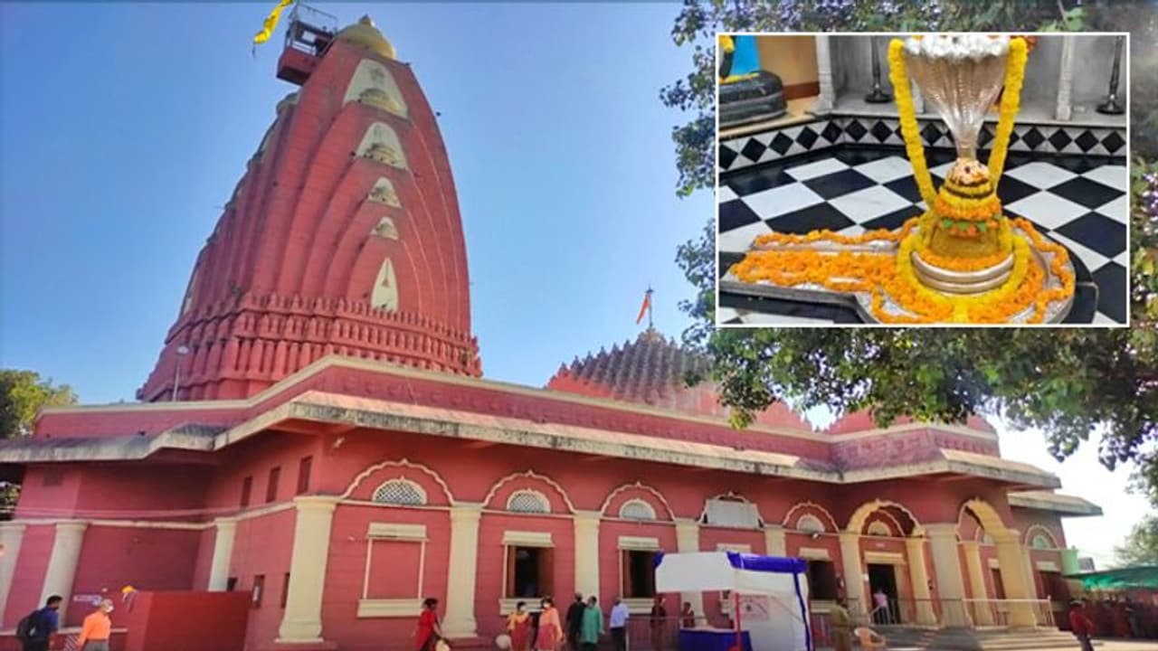 Mahashivratri 2022: दुष्ट को दंड देने प्रकट हुए थे महादेव, गुजरात में यहां स्थापित है ज्योतिर्लिंग रूप में Mahashivratri 2022: दुष्ट को दंड देने प्रकट हुए थे महादेव, गुजरात में यहां स्थापित है ज्योतिर्लिंग रूप में