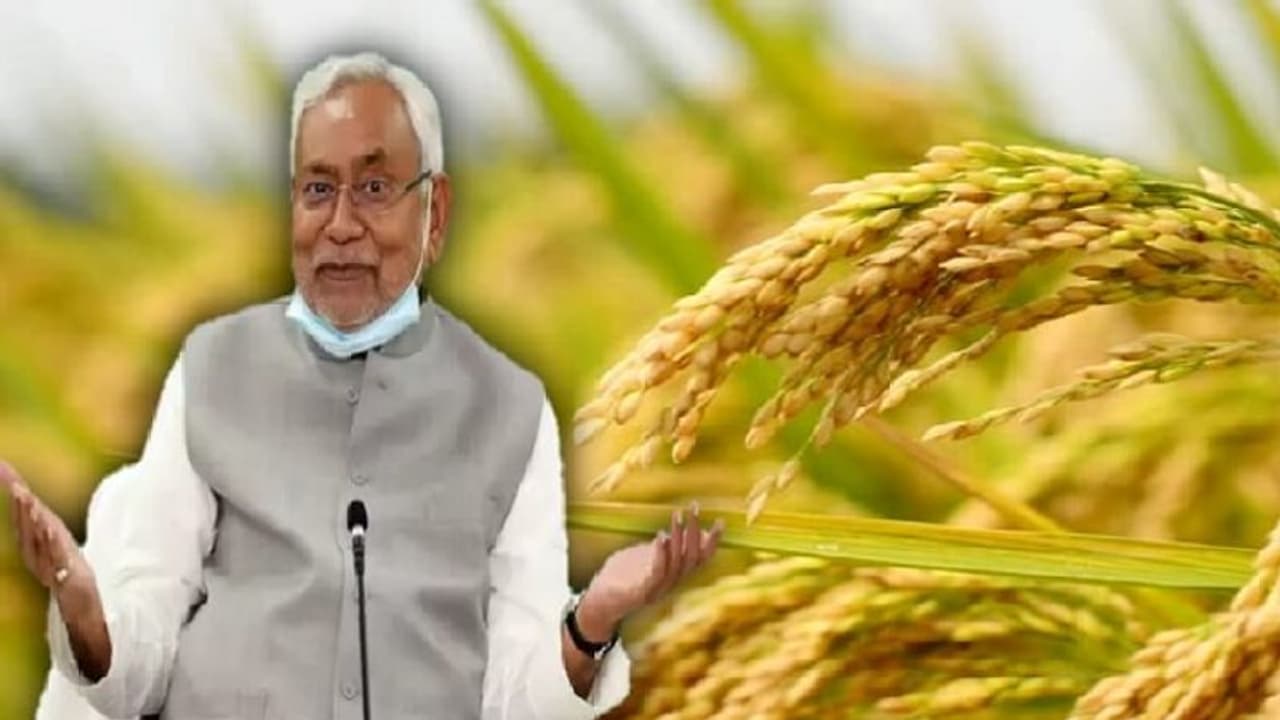 Bihar Budget 2022: नीतीश सरकार किसानों को फ्री बीज देगी, जानिए क्या है बिहार सरकार का डबल इनकम करने का प्लान? Bihar Budget 2022: नीतीश सरकार किसानों को फ्री बीज देगी, जानिए क्या है बिहार सरकार का डबल इनकम करने का प्लान?