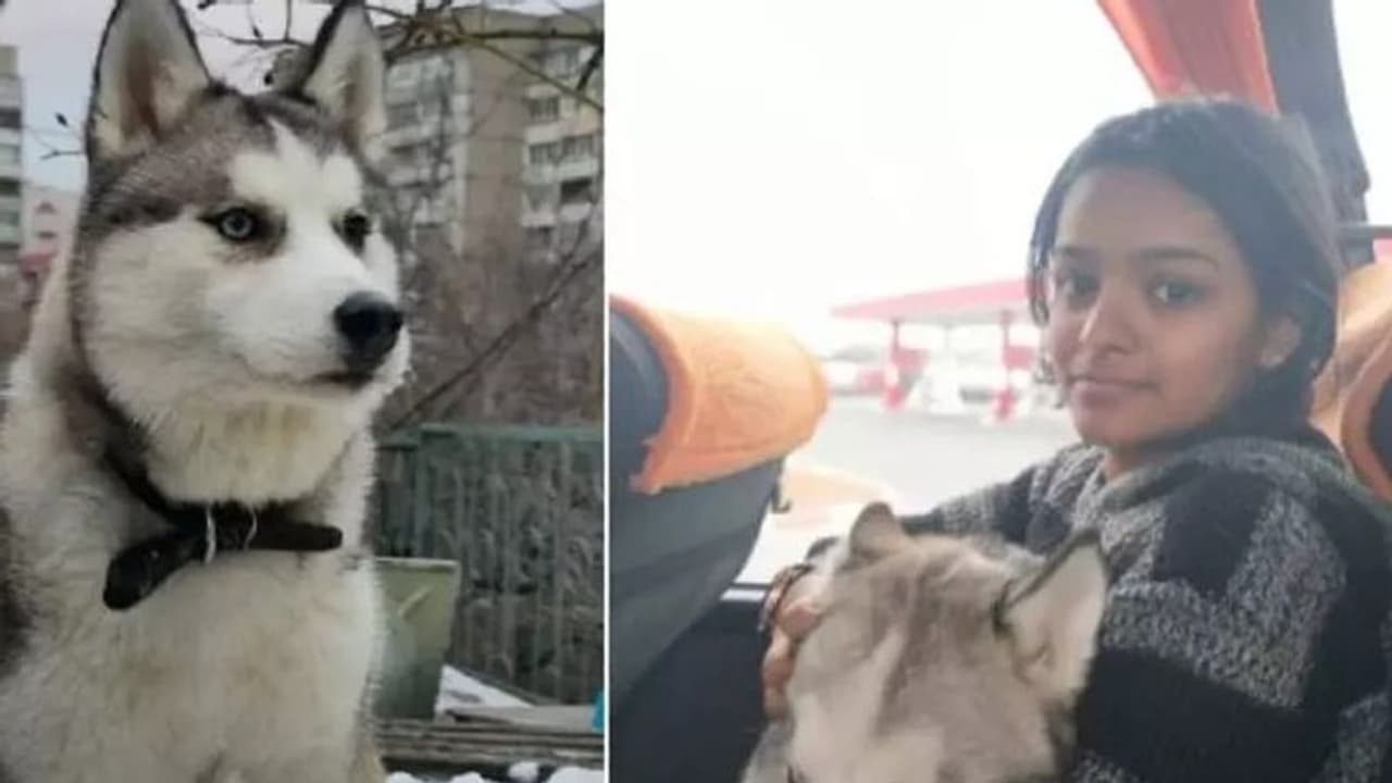 Russia Ukraine : പ്രിയപ്പെട്ട വളർത്തുപട്ടിയുമായി യുക്രൈന് അതിര്ത്തിയില് കുടുങ്ങി മലയാളി പെണ്കുട്ടി Russia Ukraine : പ്രിയപ്പെട്ട വളർത്തുപട്ടിയുമായി യുക്രൈന് അതിര്ത്തിയില് കുടുങ്ങി മലയാളി പെണ്കുട്ടി