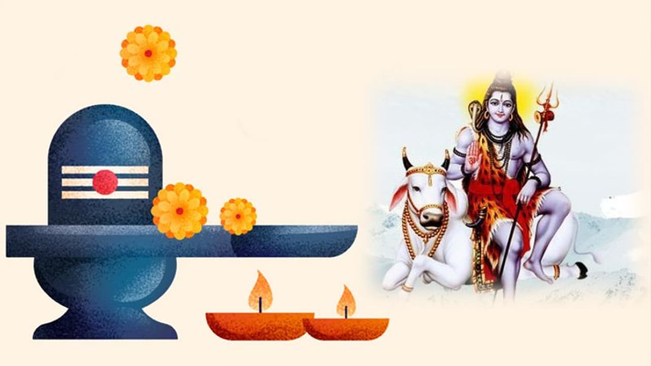 మహాశివరాత్రి రోజున మీ ఇంటికి ఈ వస్తువులను తీసుకెళ్తే.. మీ కష్టాలన్నీ తొలగిపోయి, అపారమైన సంపదను పొందుతారు మహాశివరాత్రి రోజున మీ ఇంటికి ఈ వస్తువులను తీసుకెళ్తే.. మీ కష్టాలన్నీ తొలగిపోయి, అపారమైన సంపదను పొందుతారు