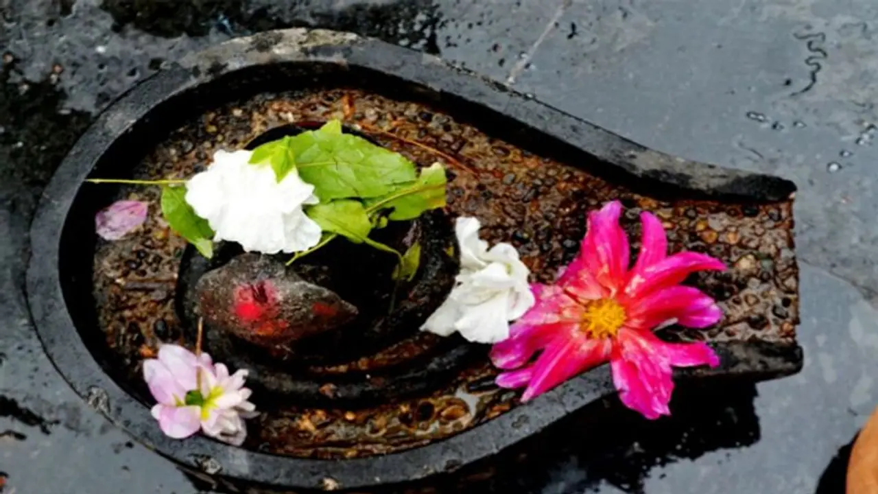 ভগবান শিব এই পাঁচ ধরনের ফুল পছন্দ করেন, এর রয়েছে অনেক অলৌকিক উপকারিতা