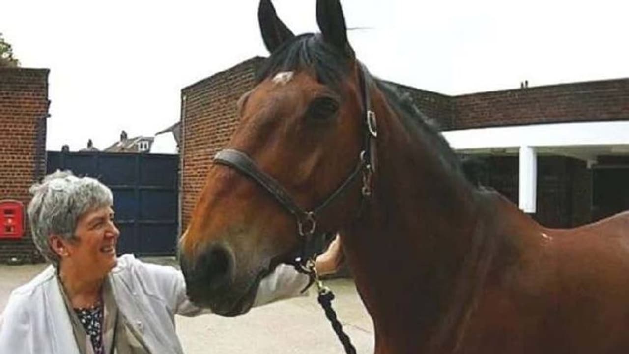 രാവിലെ ഒന്ന് 'സെറ്റാ'വണമെങ്കിൽ ഒരുകപ്പ് ചായ വേണം, വേറിട്ട ശീലവുമായി പൊലീസ് കുതിര രാവിലെ ഒന്ന് 'സെറ്റാ'വണമെങ്കിൽ ഒരുകപ്പ് ചായ വേണം, വേറിട്ട ശീലവുമായി പൊലീസ് കുതിര