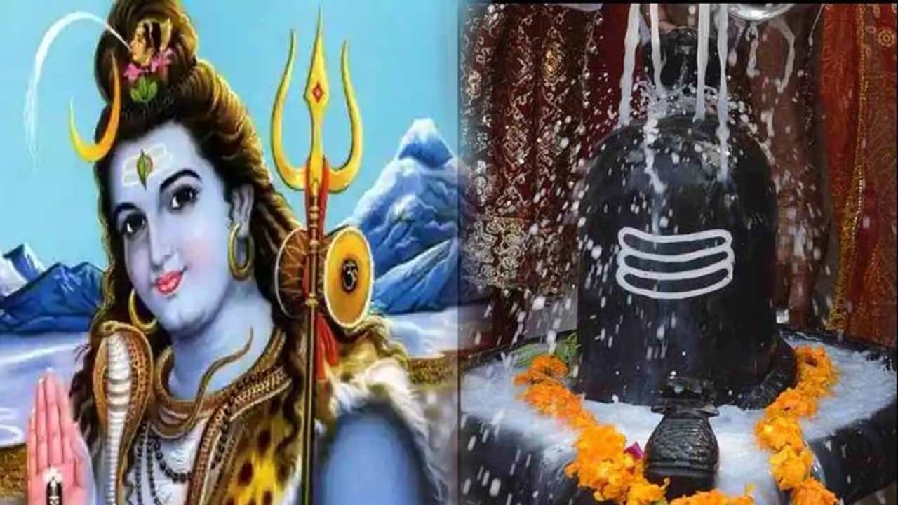 Mahashivratri 2023: ಕನಸಿನಲ್ಲಿ ಹಾವು ಬರುತ್ತಾ? ಹಬ್ಬಕ್ಕೂ ಮುನ್ನ ಹಾವಿನ ಕನಸು ಬಿದ್ದರೆ ಸಂಪತ್ತಿನ ಸೂಚನೆ!
