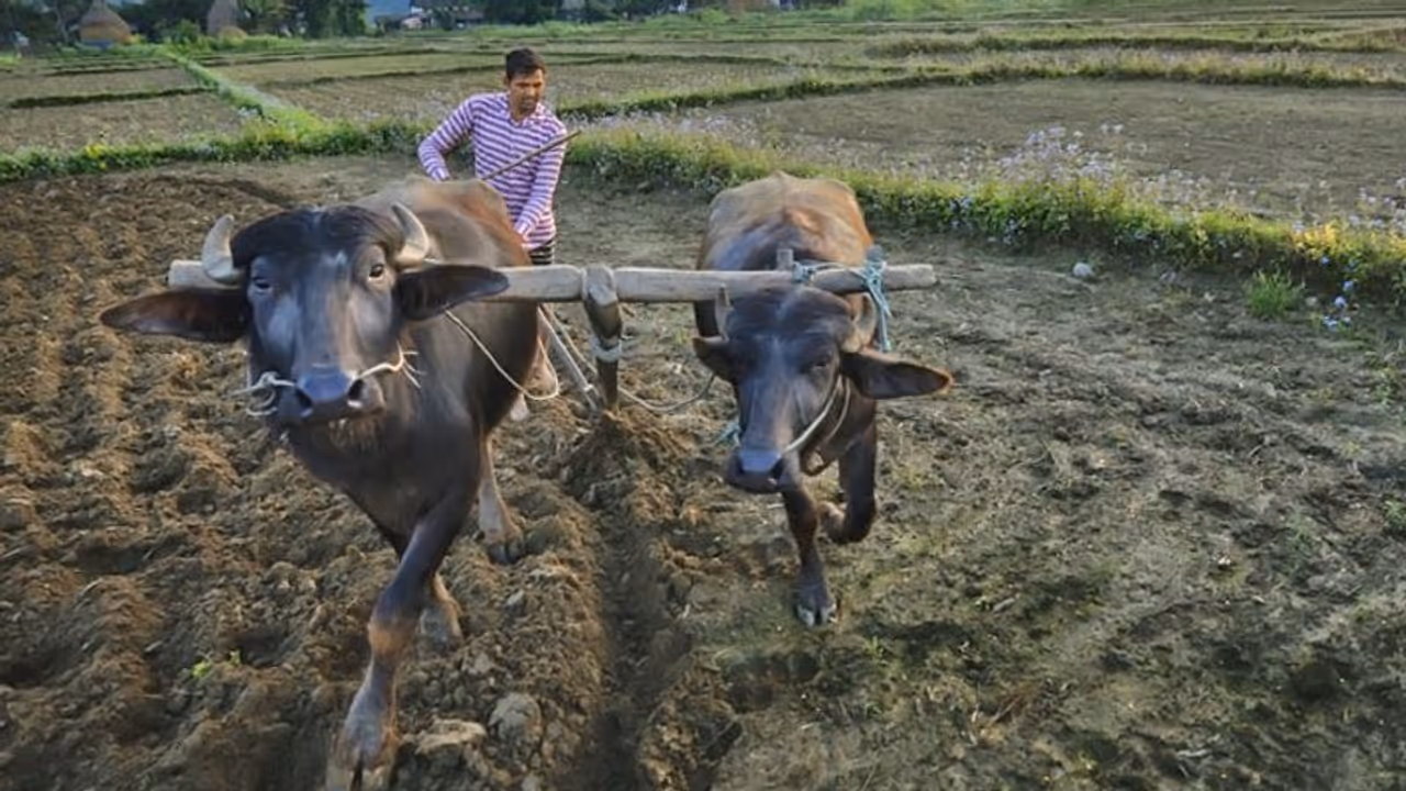 Life Management: खेत जोतते समय चट्टान से हल टूट गया, किसान ने उसे हटाने साथियों को बुलाया, फिर क्या हुआ?