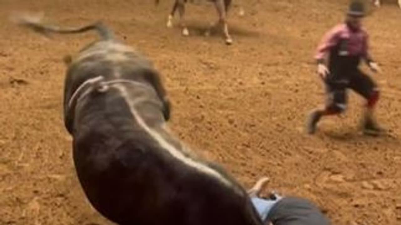 बेटे की जान बचाने सांड से भिड़ गया पापा, फिल्मी स्टाइल में दी शिकस्त, देखें वीडियो