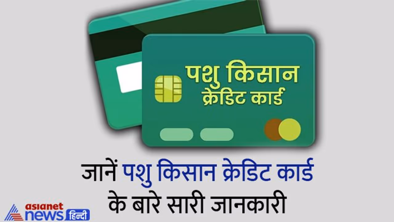 Pashu Kisan Credit Card: पशुपालन या डेयरी फॉर्मिंग कर रहे प्लान, सरकार करेगी आपकी मदद, जानें पूरी स्कीम Pashu Kisan Credit Card: पशुपालन या डेयरी फॉर्मिंग कर रहे प्लान, सरकार करेगी आपकी मदद, जानें पूरी स्कीम