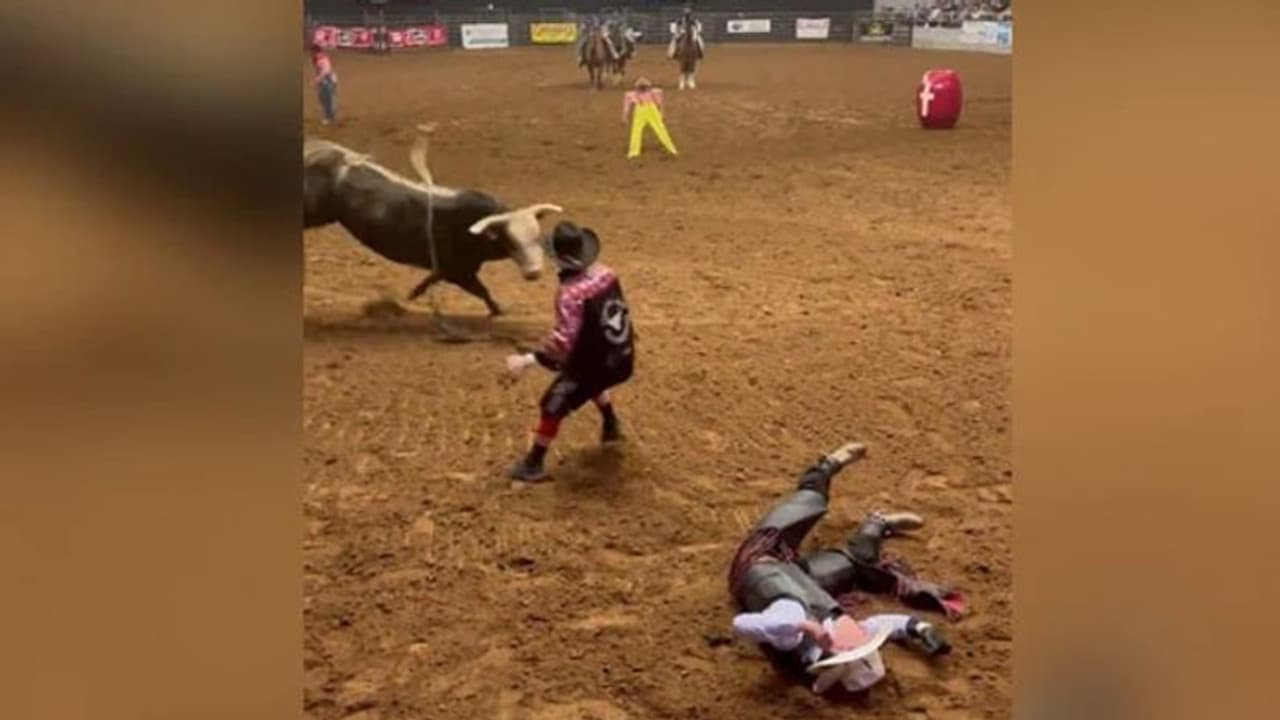 Bull Fight : കാളപ്പോരിനിടെ അപകടം; മകനെ രക്ഷിക്കാന്‍ ചാടിവീണ് അച്ഛന്‍