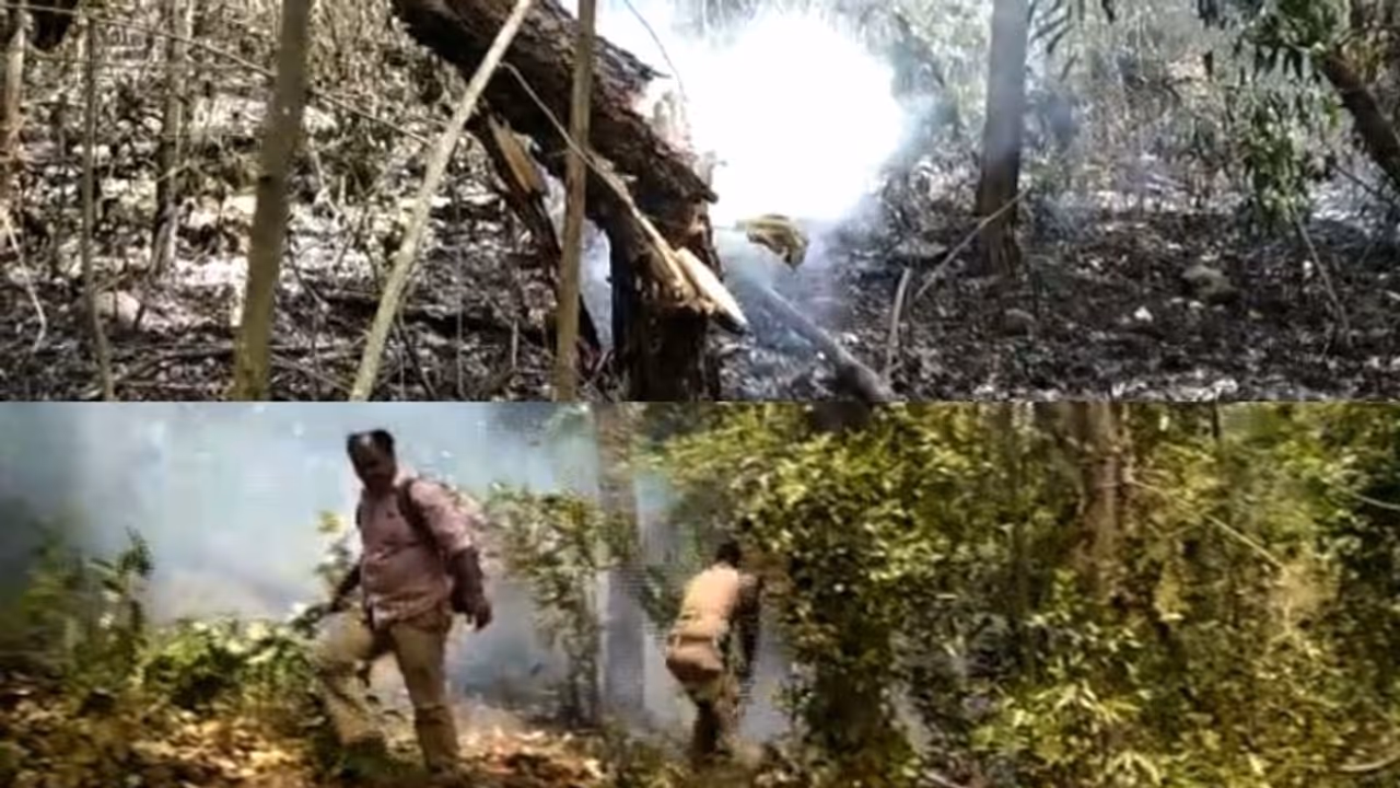 പെരിങ്ങമല വനമേഖലയിൽ കാട്ടുതീ പടരുന്നു: ഏക്കർ കണക്കിന് വനം കത്തിനശിച്ചു പെരിങ്ങമല വനമേഖലയിൽ കാട്ടുതീ പടരുന്നു: ഏക്കർ കണക്കിന് വനം കത്തിനശിച്ചു