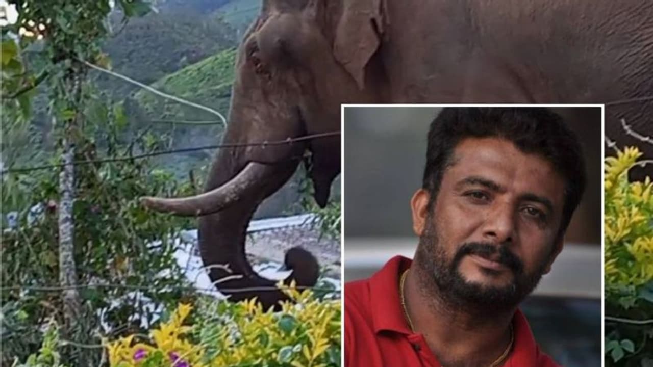 കൂരിരുട്ടിൽ ആനയുടെ മുന്നിൽപ്പെട്ട് യുവാവ്, ബൈക്കിൽ പിന്തുടർന്നു, രക്ഷപ്പെട്ടത് തലനാരിഴയ്ക്ക് കൂരിരുട്ടിൽ ആനയുടെ മുന്നിൽപ്പെട്ട് യുവാവ്, ബൈക്കിൽ പിന്തുടർന്നു, രക്ഷപ്പെട്ടത് തലനാരിഴയ്ക്ക്