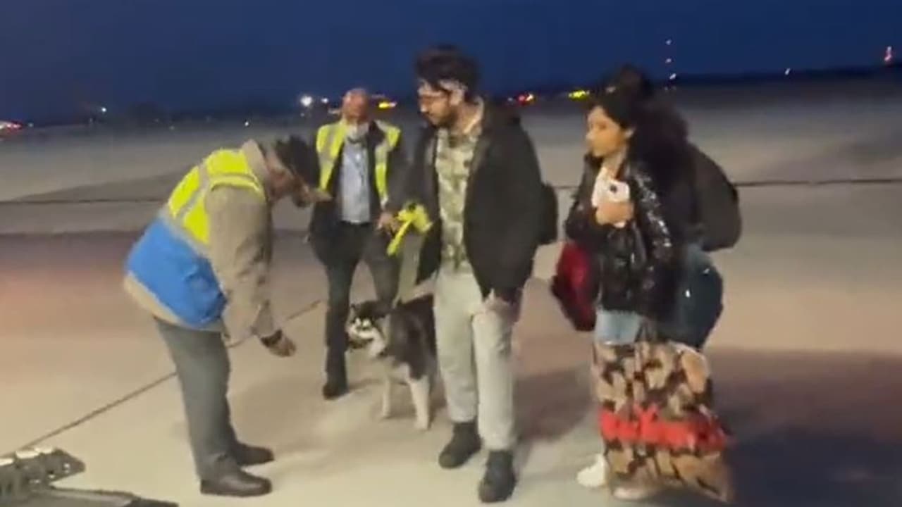 উদ্ধারকাজ শুরু বায়ুসেনার সি ১৭ গ্লোবমাস্টারের, পোষ্যদের নিয়ে বিমানে সওয়ার বহু ভারতীয়