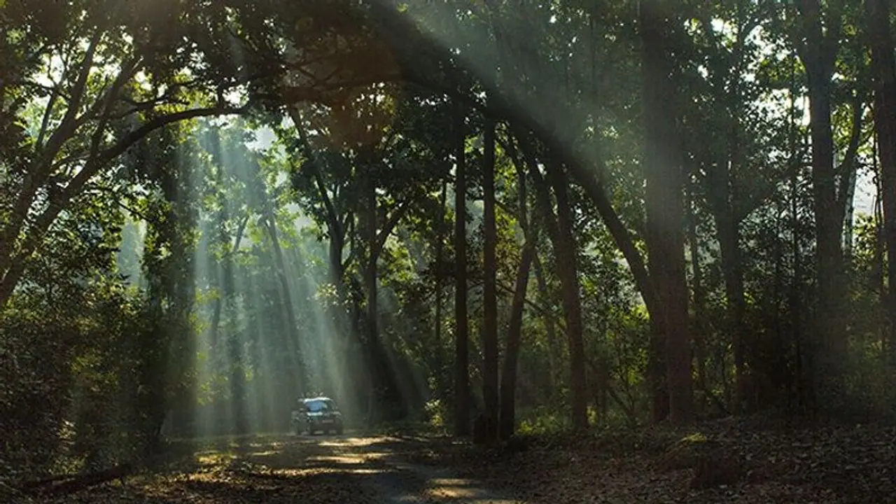 కార్బెట్ టైగర్ రిజర్వ్లో సగం తినేసిన మహిళ మృతదేహం లభ్యం.. బుధవారం ఆమె అదృశ్యమై.. కార్బెట్ టైగర్ రిజర్వ్లో సగం తినేసిన మహిళ మృతదేహం లభ్యం.. బుధవారం ఆమె అదృశ్యమై..
