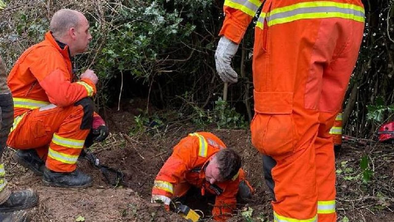 ബാഡ്ജറുകളുടെ മാളത്തിൽ നായ കുടുങ്ങി, 60 മണിക്കൂർ നേരത്തെ നിസ്സഹായത, ഒടുവിൽ രക്ഷാപ്രവർത്തനം ബാഡ്ജറുകളുടെ മാളത്തിൽ നായ കുടുങ്ങി, 60 മണിക്കൂർ നേരത്തെ നിസ്സഹായത, ഒടുവിൽ രക്ഷാപ്രവർത്തനം