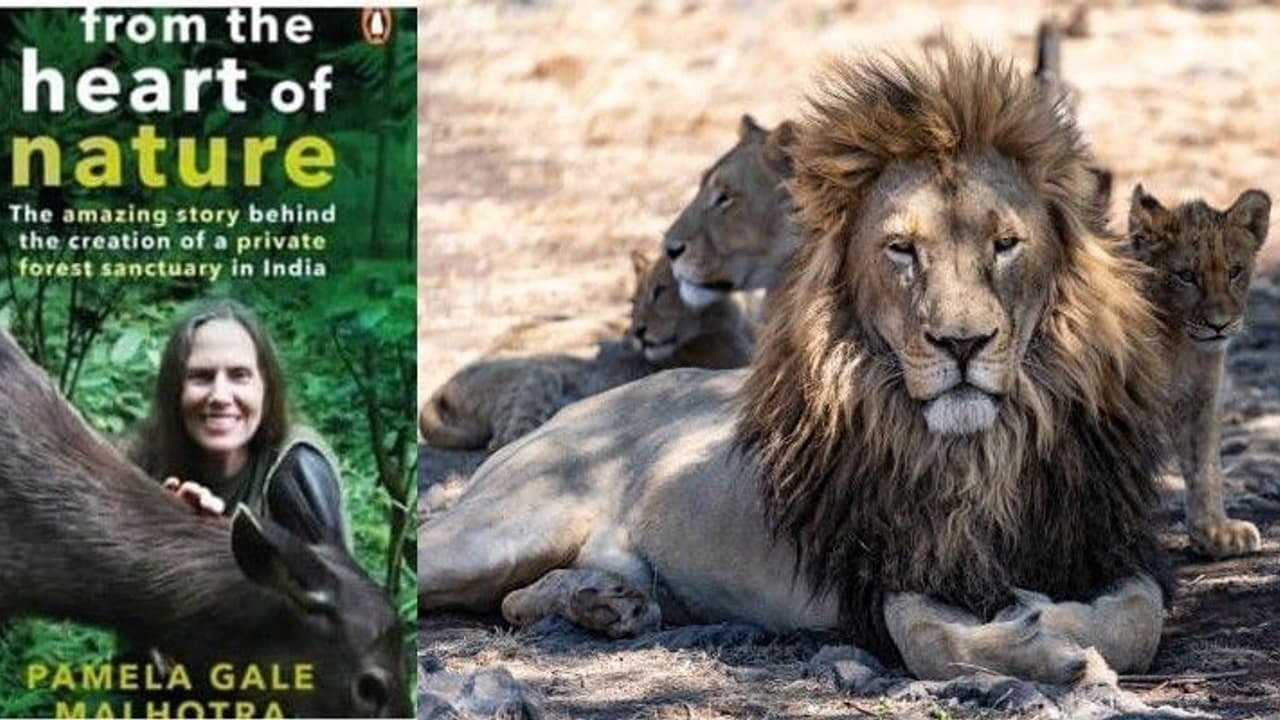 '৩১ বছর আগে জমি কিনে বানিয়েছিলেন' বিশ্ব বন্যপ্রাণী দিবসে চিনে নিন ভারতের একমাত্র ব্যাক্তিগত অভয়ারণ্যকে '৩১ বছর আগে জমি কিনে বানিয়েছিলেন' বিশ্ব বন্যপ্রাণী দিবসে চিনে নিন ভারতের একমাত্র ব্যাক্তিগত অভয়ারণ্যকে