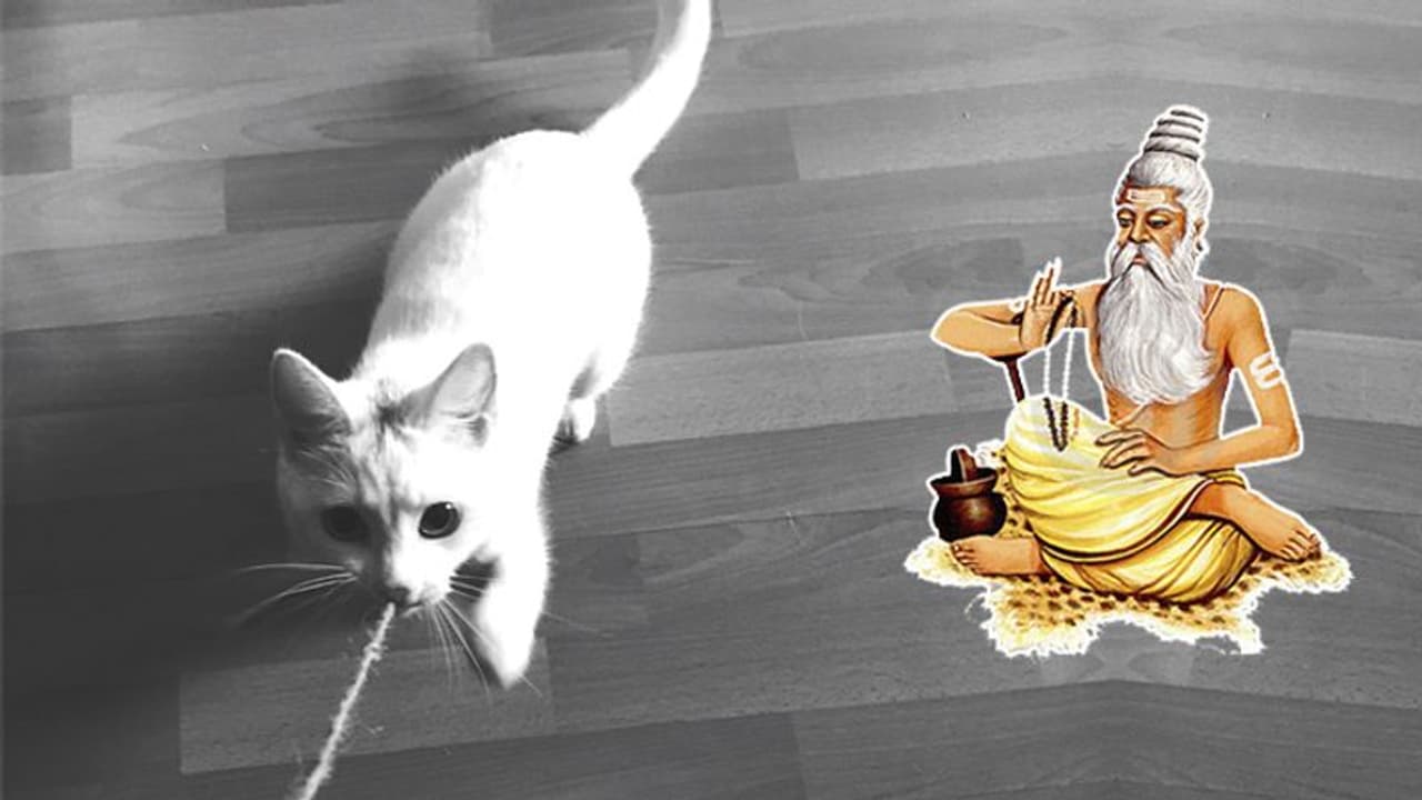 Life Management: महात्मा ध्यान में बैठने से पहले बिल्ली को बांध देते थे, एक दिन बिल्ली मर गई…फिर क्या हुआ? Life Management: महात्मा ध्यान में बैठने से पहले बिल्ली को बांध देते थे, एक दिन बिल्ली मर गई…फिर क्या हुआ?