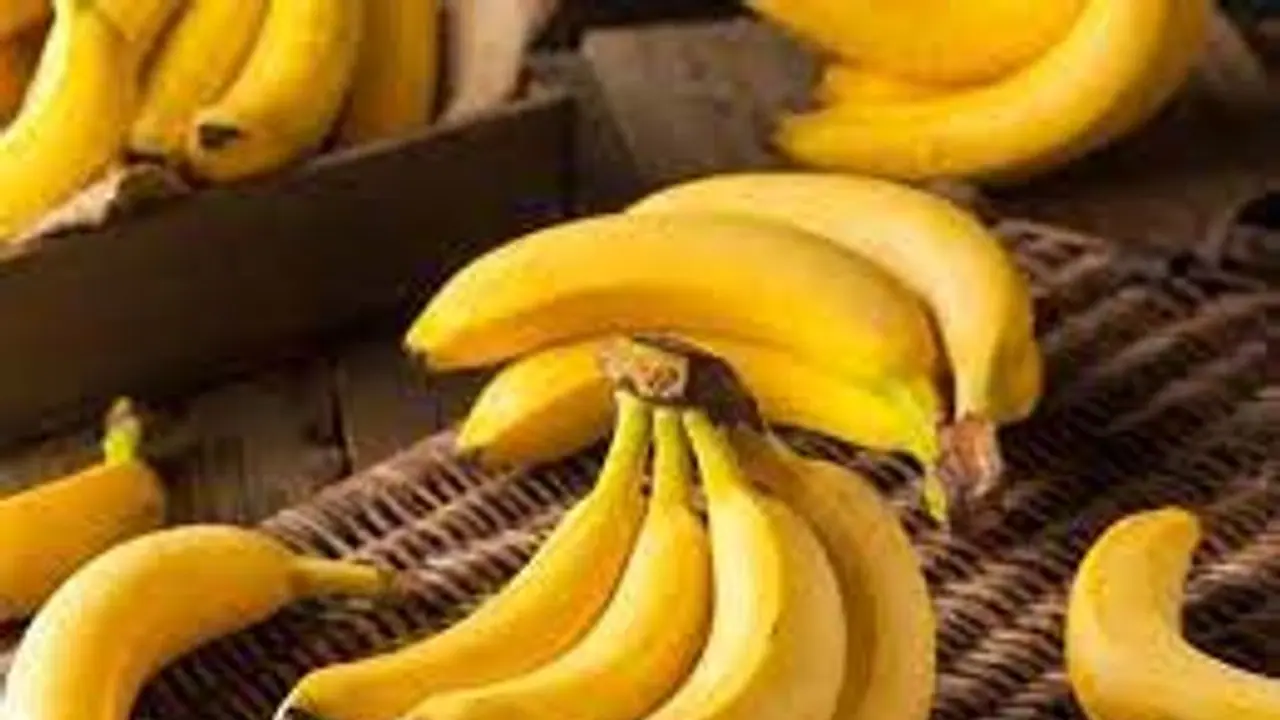 Banana benefits: தினமும் இந்த நேரத்தில் ஒரு வாழைப்பழம் போதும்...ஊட்டச்சத்து நிபுணர்கள் பரிந்துரை..! Banana benefits: தினமும் இந்த நேரத்தில் ஒரு வாழைப்பழம் போதும்...ஊட்டச்சத்து நிபுணர்கள் பரிந்துரை..!