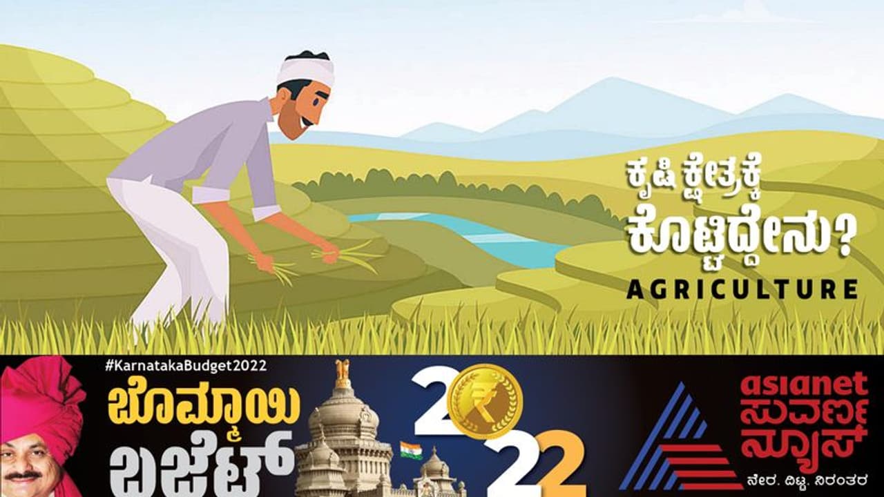 Karnataka Budget 2022: ಕೃಷಿ ಕ್ಷೇತ್ರಕ್ಕೆ ಬಂಪರ್, 33,700 ಕೋಟಿ ಘೋಷಣೆ, ರೈತರಿಗೆ ಏನೆಲ್ಲಾ ಸಿಕ್ಕಿದೆ? Karnataka Budget 2022: ಕೃಷಿ ಕ್ಷೇತ್ರಕ್ಕೆ ಬಂಪರ್, 33,700 ಕೋಟಿ ಘೋಷಣೆ, ರೈತರಿಗೆ ಏನೆಲ್ಲಾ ಸಿಕ್ಕಿದೆ?