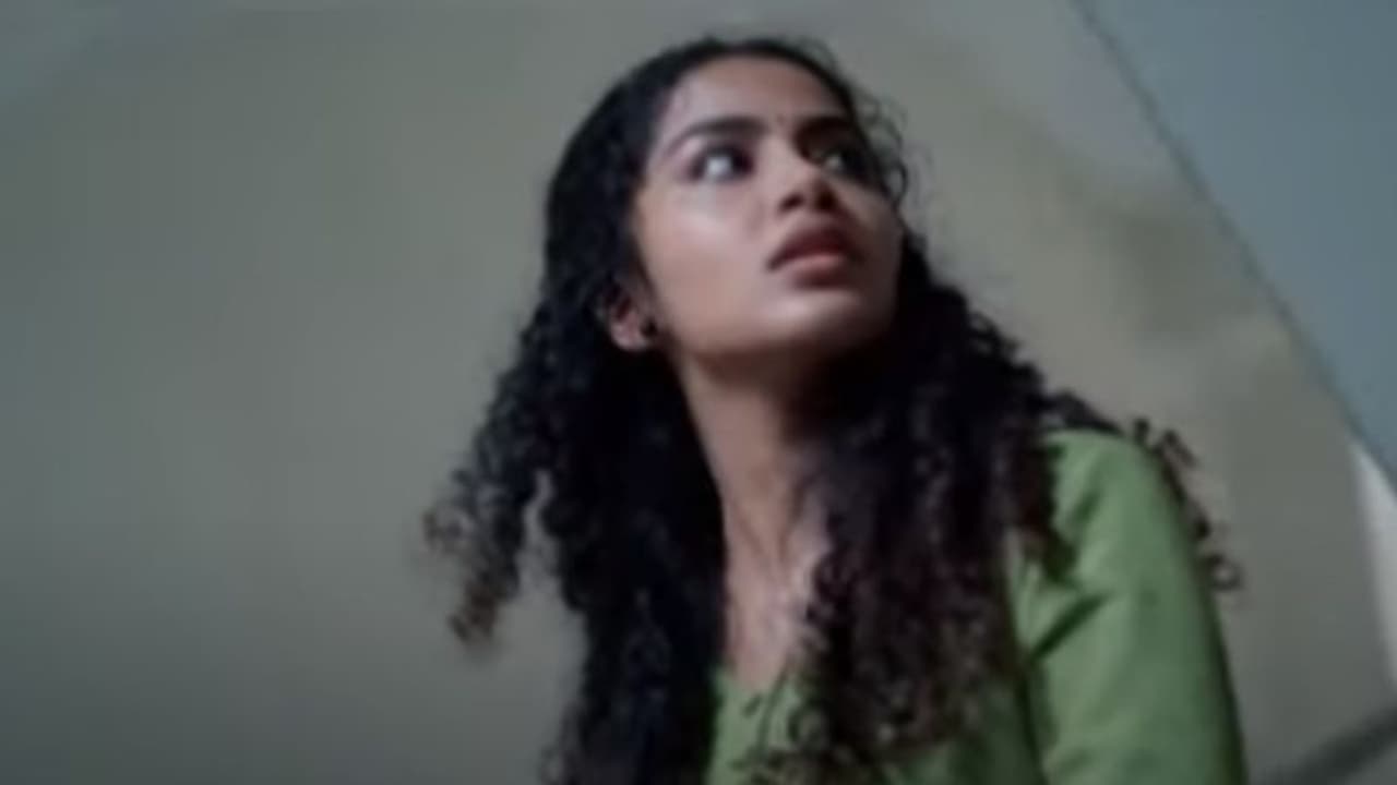 Butterfly teaser : തെലുങ്കില്‍ ത്രില്ലര്‍ ചിത്രവുമായി അനുപമ പരമേശ്വരൻ, 'ബട്ടര്‍ഫ്ലൈ' ടീസര്‍