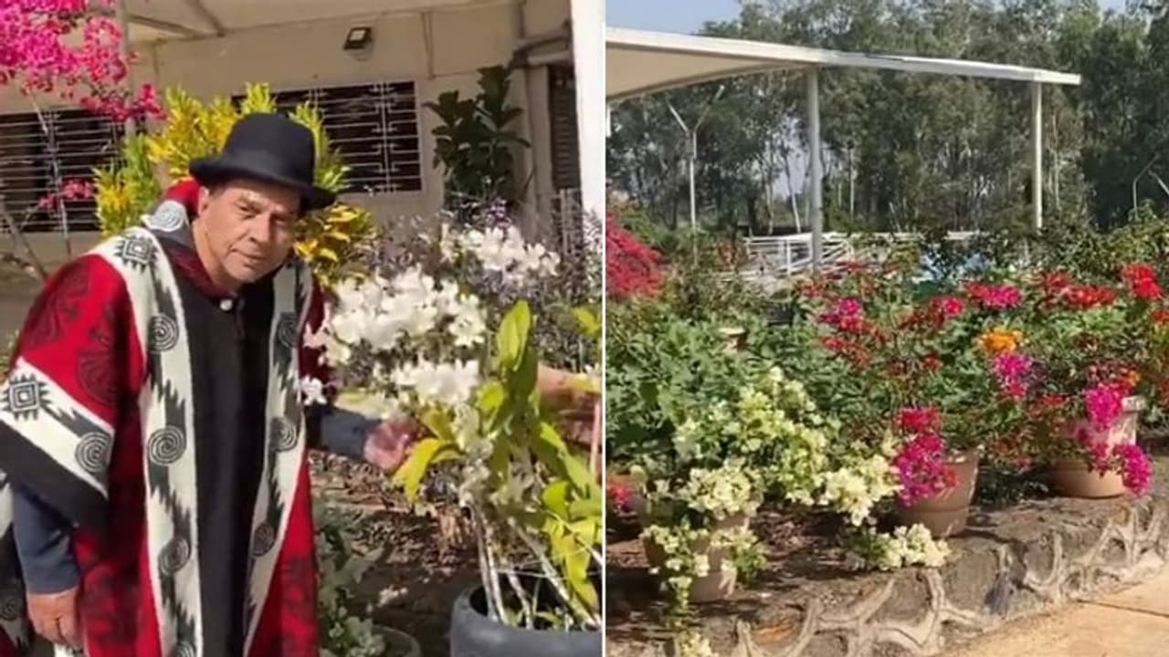 रंग बिरंगे फूलों से खिल उठा Dharmendra का फॉर्महाउस, जिंदगी को लेकर 86 साल के एक्टर ने कही ये बात रंग बिरंगे फूलों से खिल उठा Dharmendra का फॉर्महाउस, जिंदगी को लेकर 86 साल के एक्टर ने कही ये बात