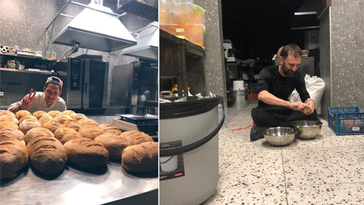 Russia Ukraine Conflict: युद्ध के एक ये भी नायक, इन्हें धमाकों से डर नहीं लगता साहब; भूख से लगता है Russia Ukraine Conflict: युद्ध के एक ये भी नायक, इन्हें धमाकों से डर नहीं लगता साहब; भूख से लगता है