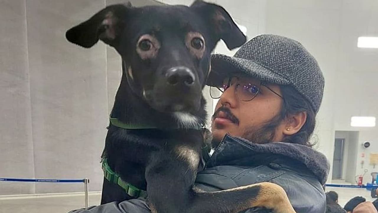 Indians can get their pets back from Ukraine as well; it is a one time relaxation