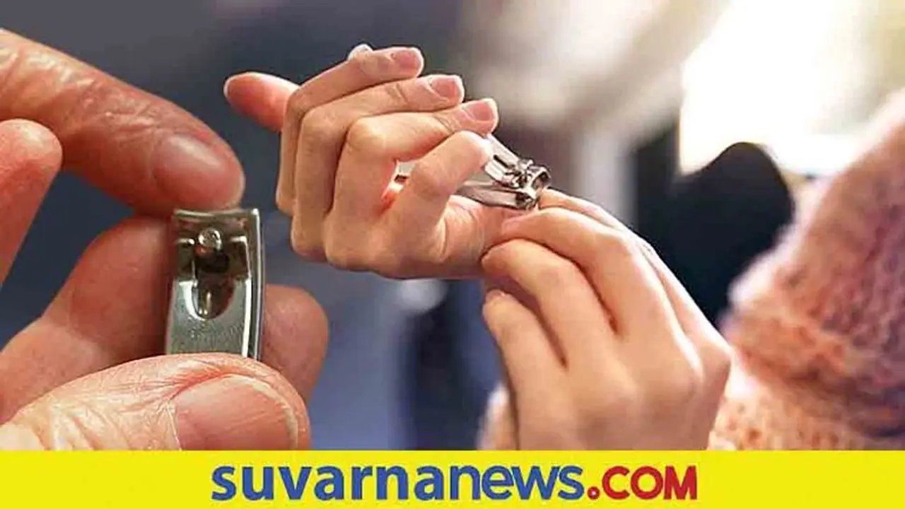 Health Tips: ರಾತ್ರಿ ಉಗುರು ಕತ್ತರಿಸಬಾರದು ಅಂತಾರಲ್ಲ, ಏಕಿರಬಹುದು? Health Tips: ರಾತ್ರಿ ಉಗುರು ಕತ್ತರಿಸಬಾರದು ಅಂತಾರಲ್ಲ, ಏಕಿರಬಹುದು?