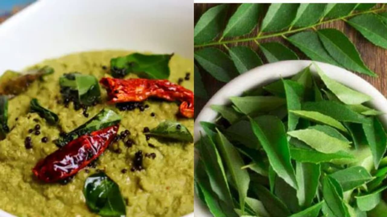 ஐந்து நிமிடத்தில் இன்ஸ்டன்ட் கறிவேப்பிலை சட்னி... இப்படி ஒரு முறை செய்தால்...இட்லி, தோசை 10 கூட சாப்பிடலாம்..! ஐந்து நிமிடத்தில் இன்ஸ்டன்ட் கறிவேப்பிலை சட்னி... இப்படி ஒரு முறை செய்தால்...இட்லி, தோசை 10 கூட சாப்பிடலாம்..!