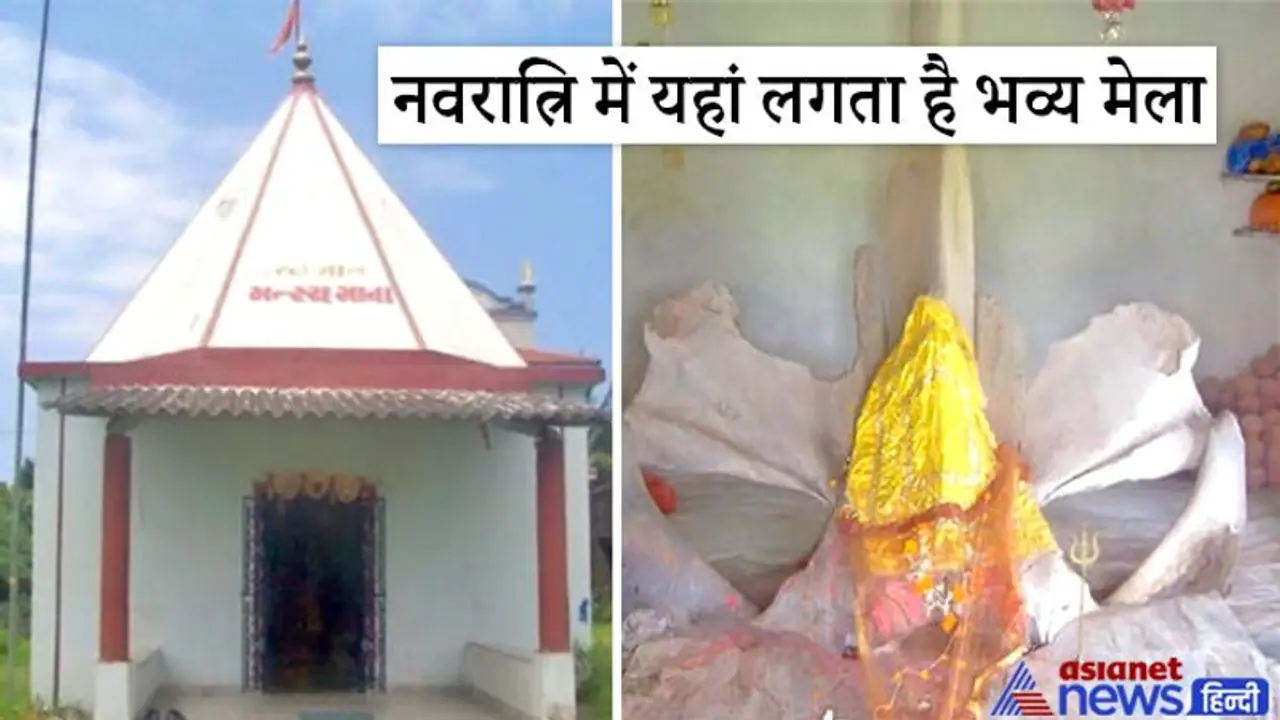 गुजरात के वलसाड़ में है 300 साल पुराना अनोखा मंदिर, यहां होती है मछली की हड्डियों की पूजा गुजरात के वलसाड़ में है 300 साल पुराना अनोखा मंदिर, यहां होती है मछली की हड्डियों की पूजा
