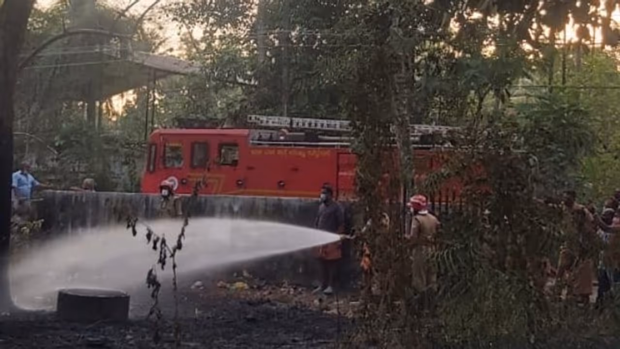 Fire Accident : കരിയില കൂട്ടിയിട്ട് കത്തിച്ചു; ഹരിപ്പാട് ഗ്യാസ് ഗോഡൗണിന് സമീപം തീപിടുത്തം Fire Accident : കരിയില കൂട്ടിയിട്ട് കത്തിച്ചു; ഹരിപ്പാട് ഗ്യാസ് ഗോഡൗണിന് സമീപം തീപിടുത്തം