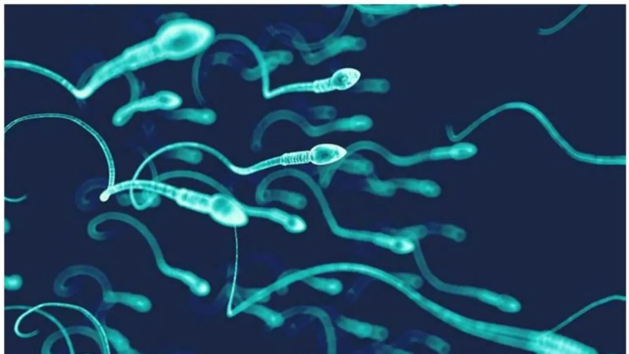 Male Infertility : ഇലക്‌ട്രോണിക് ഉപകരണങ്ങളുടെ അമിതോപയോഗം പുരുഷന്മാരുടെ പ്രത്യുത്പാദന ശേഷിയെ ബാധിക്കുമോ?