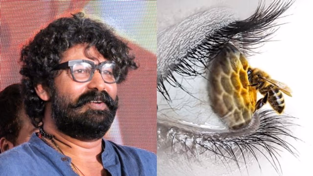 Laljose New Movie : ജോജുവിനെ നായകനാക്കി ലാല്‍ജോസ്; സോളമന്‍റെ തേനീച്ചകള്‍ വരുന്നു